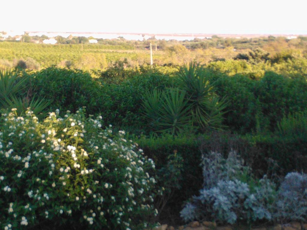 Quinta Da Moura Casa-De-Campo Guest House Tavira Eksteriør bilde