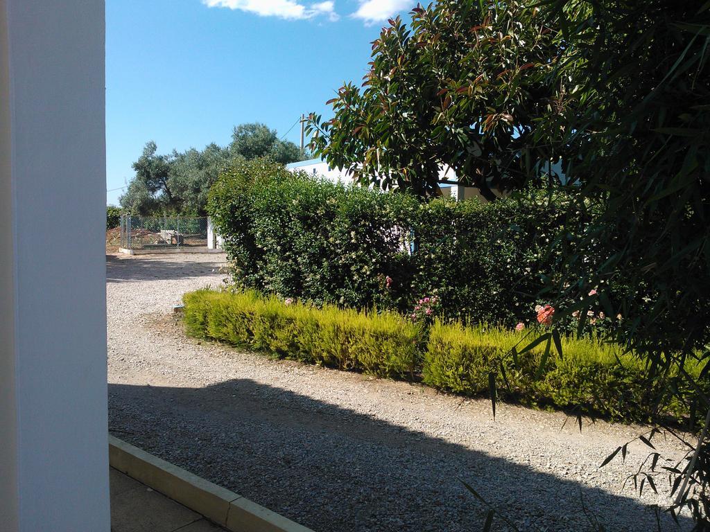 Quinta Da Moura Casa-De-Campo Guest House Tavira Eksteriør bilde